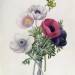 Anemone: Simple, from 'Les Choix des Plus Belles Fleurs'